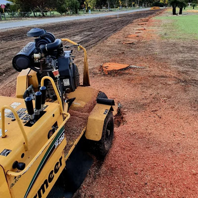 Stump Grinding vs Stump Removal - Grinding requires preparation