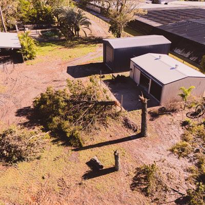 Should You Get an Arborist Report Before Buying a Property - Tree removal