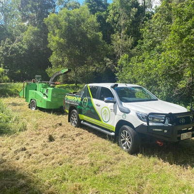 What Affects the Cost of Tree Pruning - Limited access for machinery