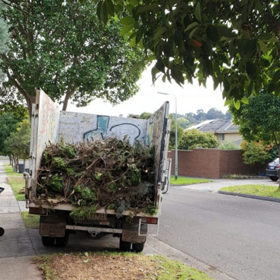 What Affects the Cost of Tree Pruning - Green waste